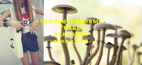 ECSTASY Володарск