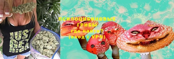 ECSTASY Володарск